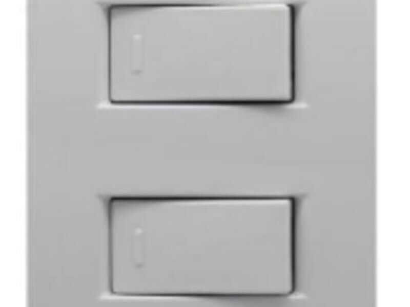 Interruptor doble