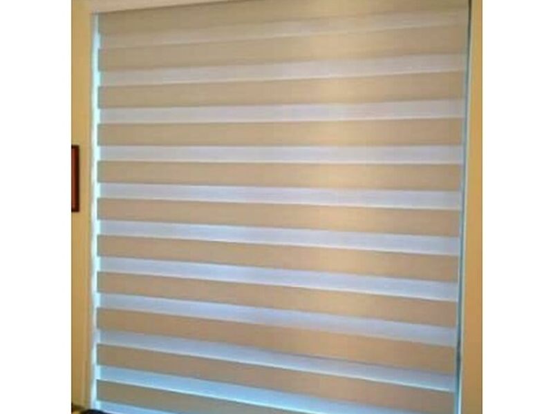 Zebra Blanca Sucre