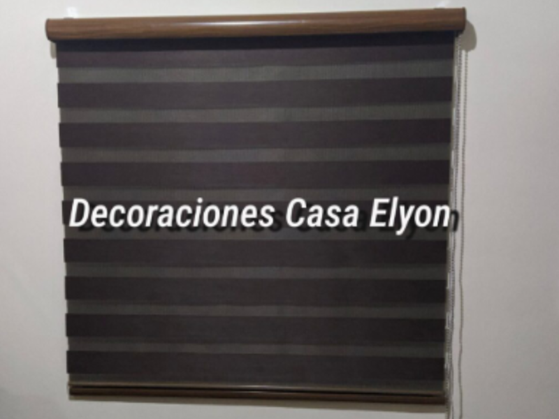 Zebra Negra Cochabamba