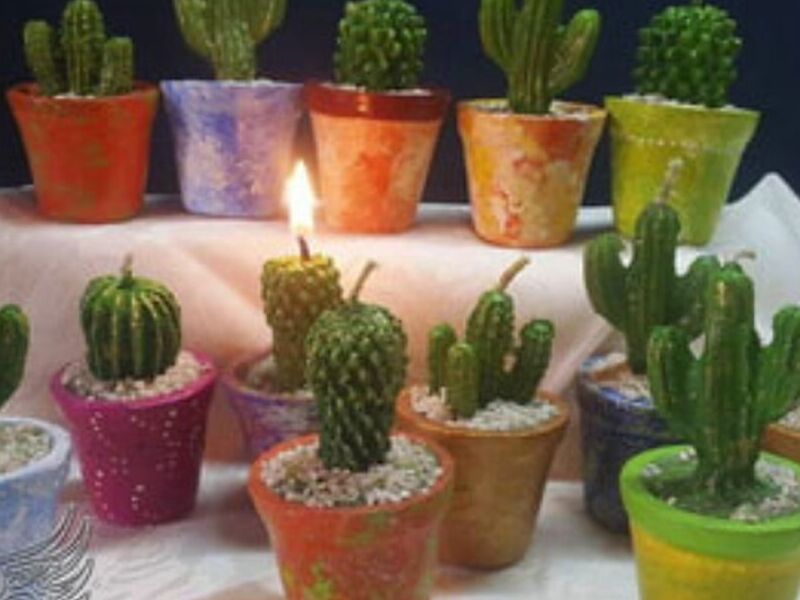Vela Cactus Cochabamba