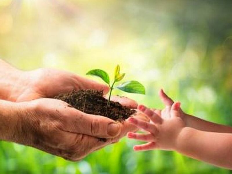 SERVICIO DE CUMPLIMIENTO AMBIENTAL Santa Cruz