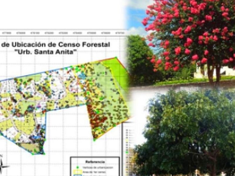 Diagnostico Forestal Santa Cruz 