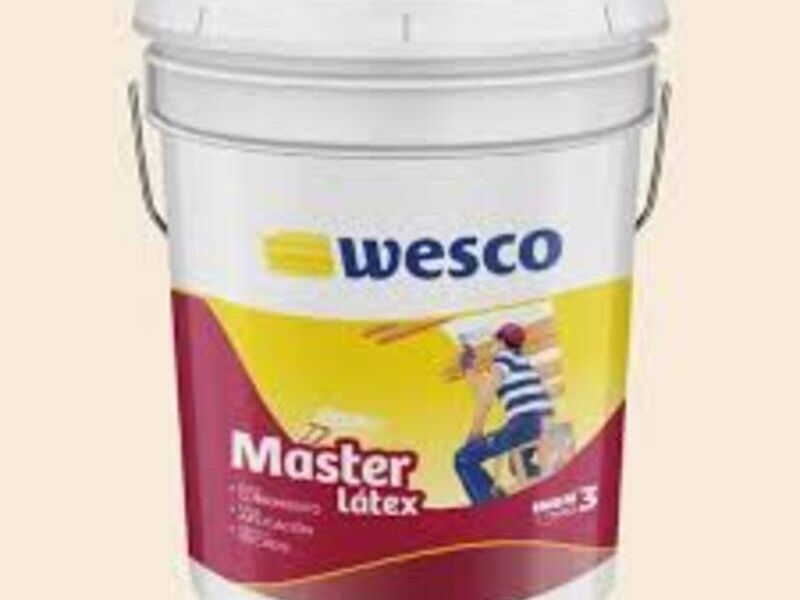 Pintura Master Latex Marfil Caneca Bolivia