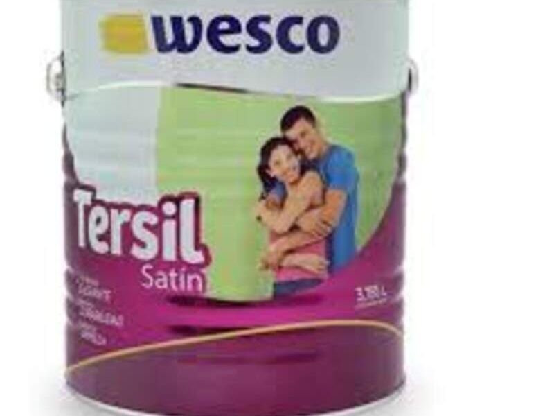Pintura Tersil Satinado Blanco Bolivia