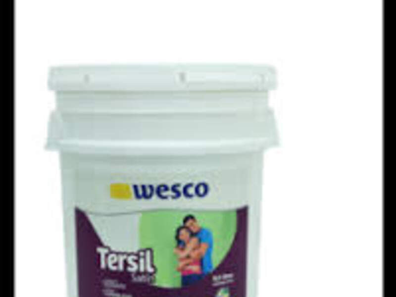 Pintura Interior Tersil Blanco Bolivia