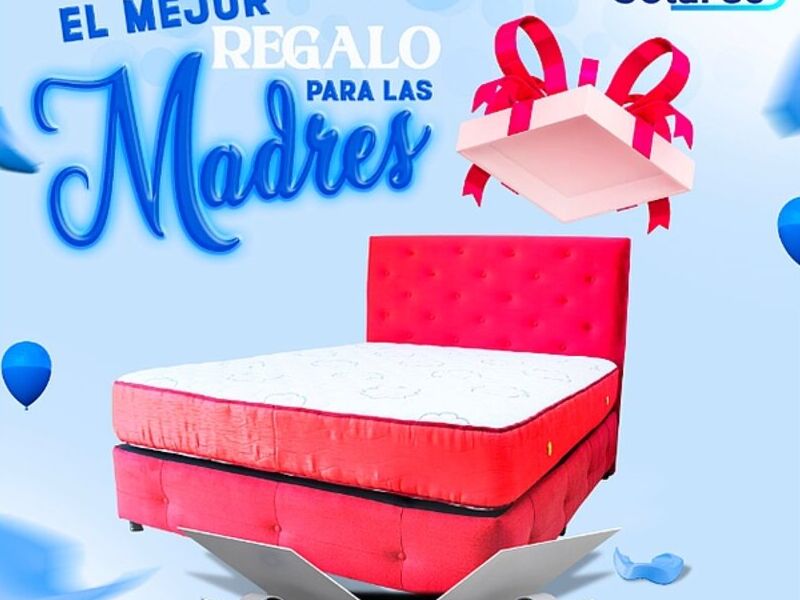 Espaldar Rosa Santa Cruz