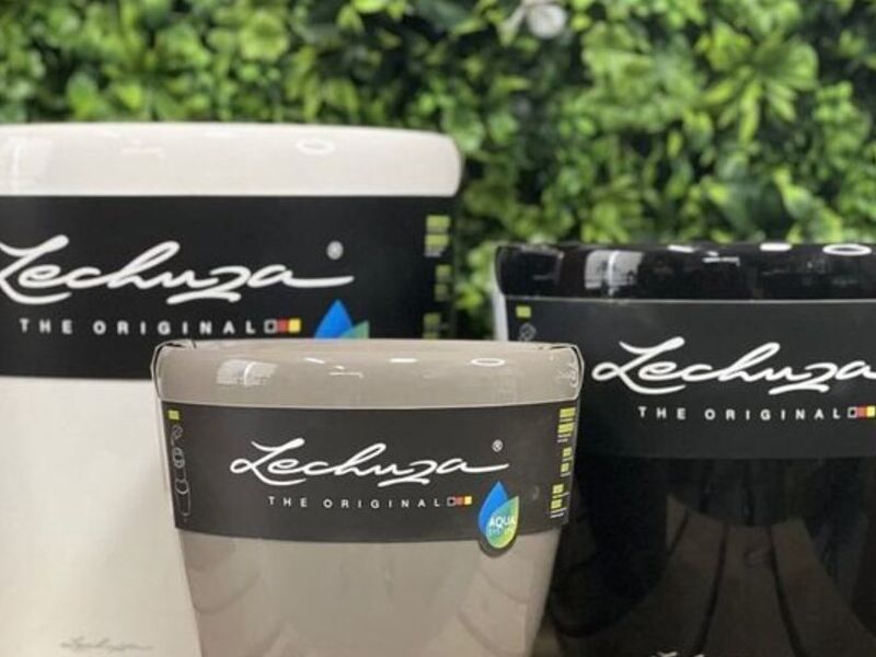 Classico Premium Boivia