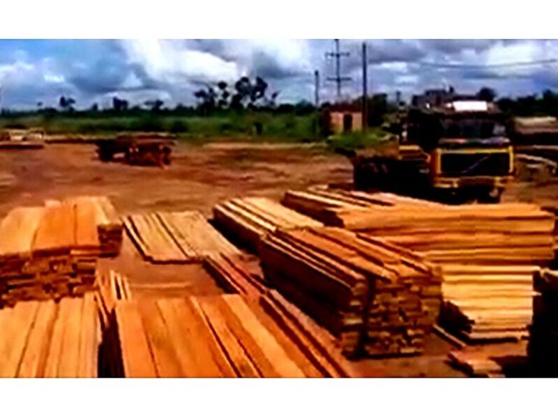 Venta tablones madera B Bolivia