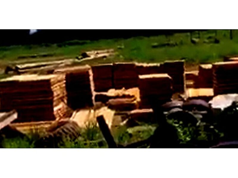 Venta tablones madera C Bolivia