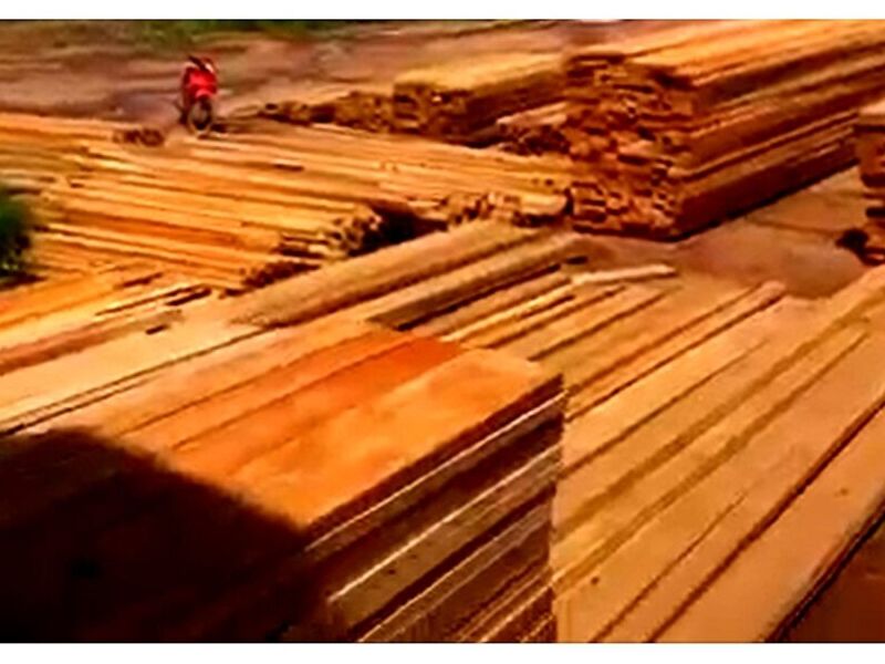 Venta tablones madera E Bolivia