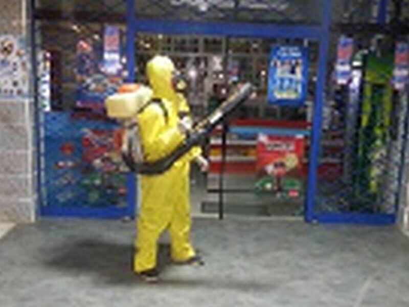 Fumigacion  plagas La Paz