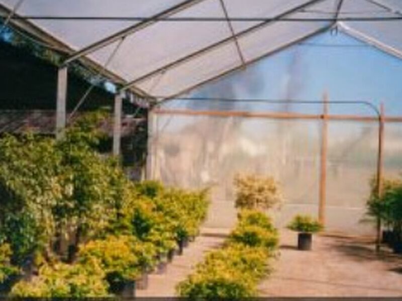 Agrofilm de polietileno