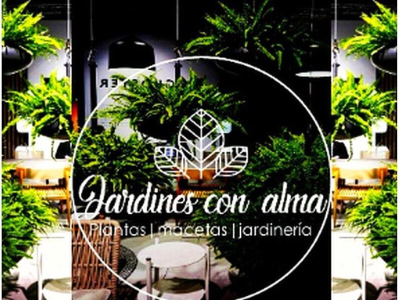 Diseño areas verdes Bolivia