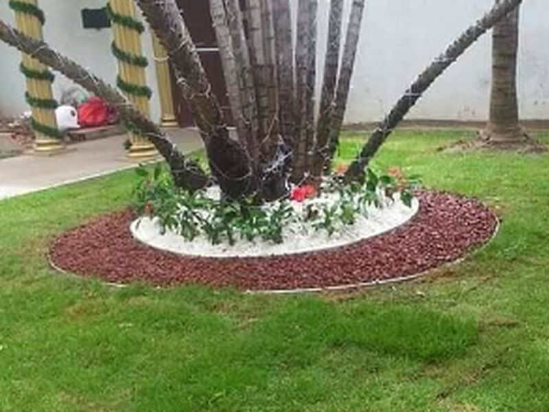 Servicio jardineria Bolivia