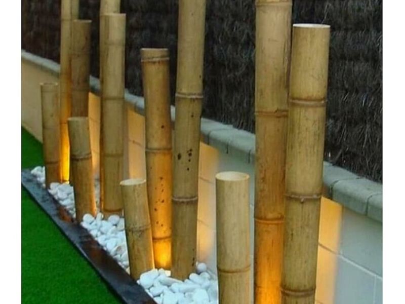 Bambu diseño luces Bolivia