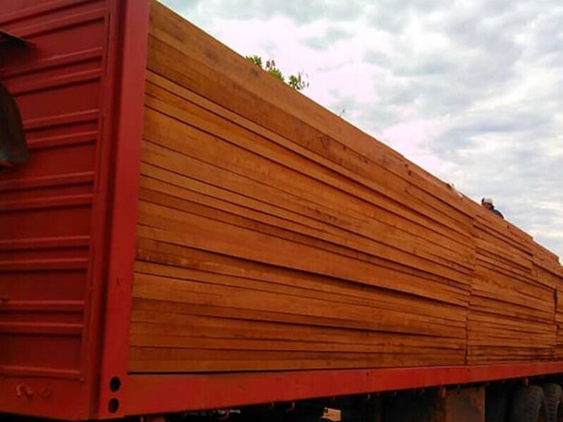 Cedro primera construcción Bolivia