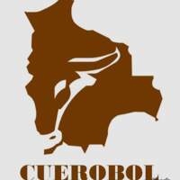 Cuerobol - Seguridad Industrial