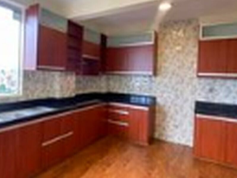 Diseño de casas Santa Cruz