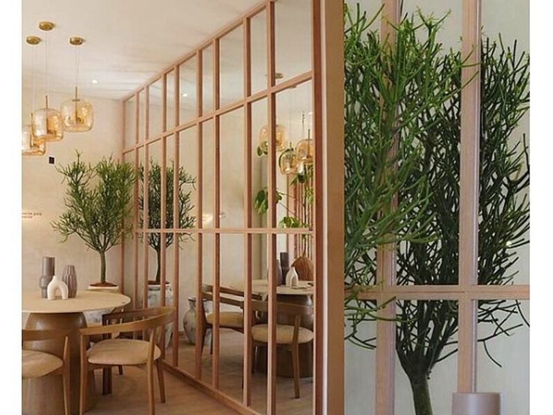  Diseño de comedor con vegetación Bolivia 