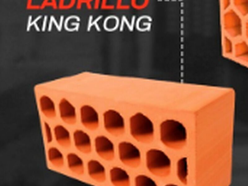 Ladrillo King Kong Bolivia 
