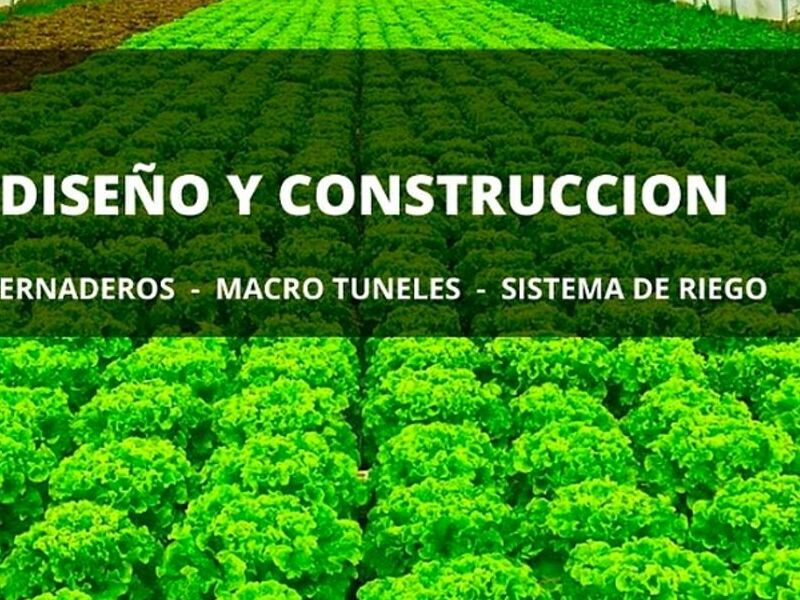 Diseño contruccion invernaderos Bolivia