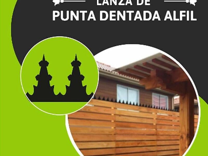 Lanza de Punta Alfil Bolivia 