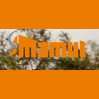 HOME - Grupo Mamut
