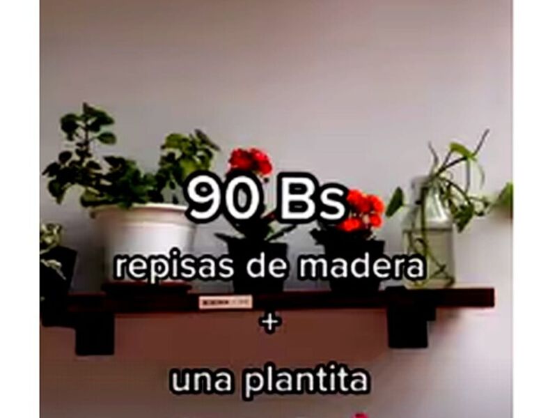 90 bs Repisas de madero Bolivia