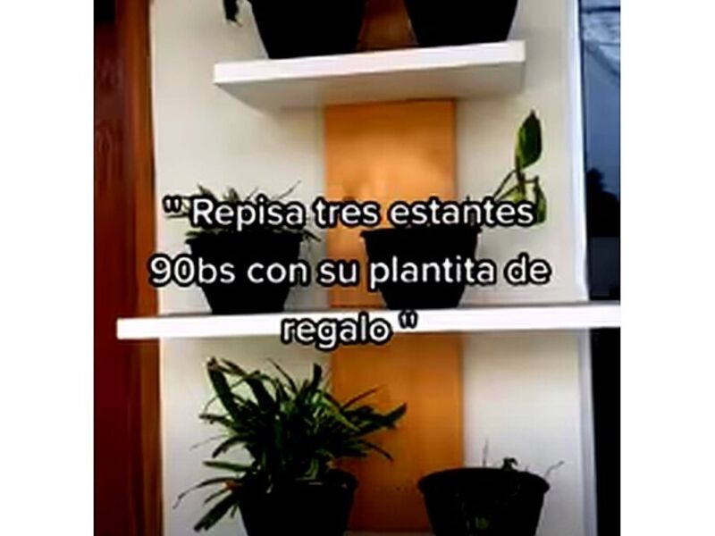 Reposa tres estantes Bolivia