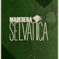 Maderera Selvatica Bolvia