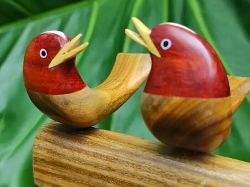 Pájaros decorativos Bolivia