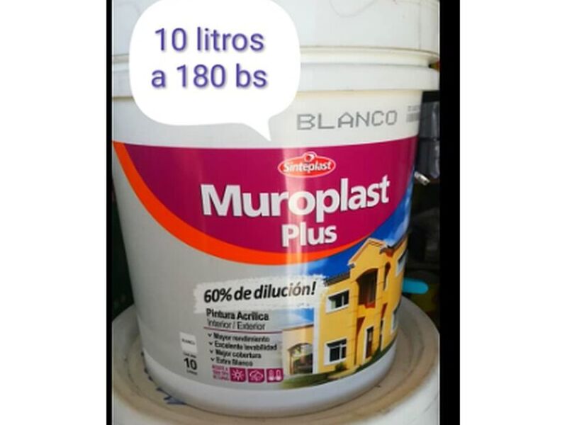 Pintura Acrilica 10L Bolivia 
