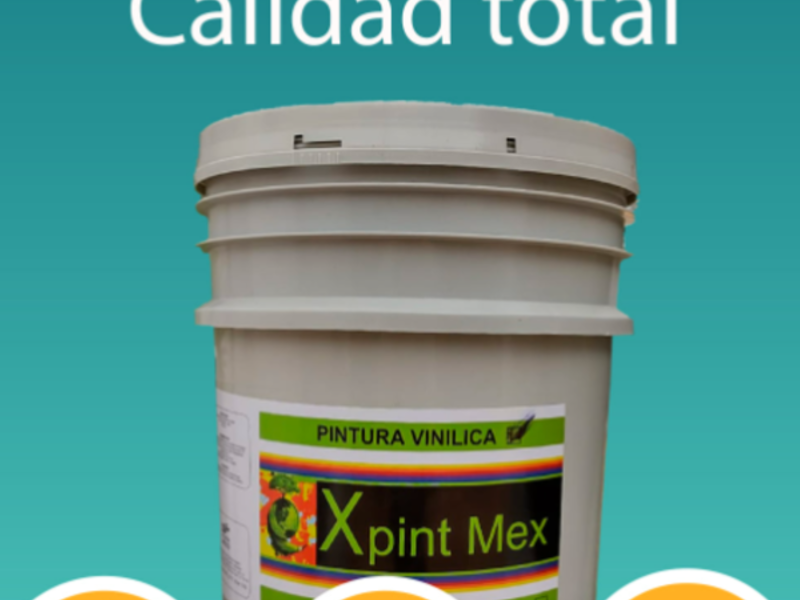 Pintura Vinílica12