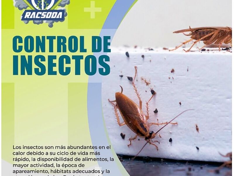 fumigadora insectos Bolivia