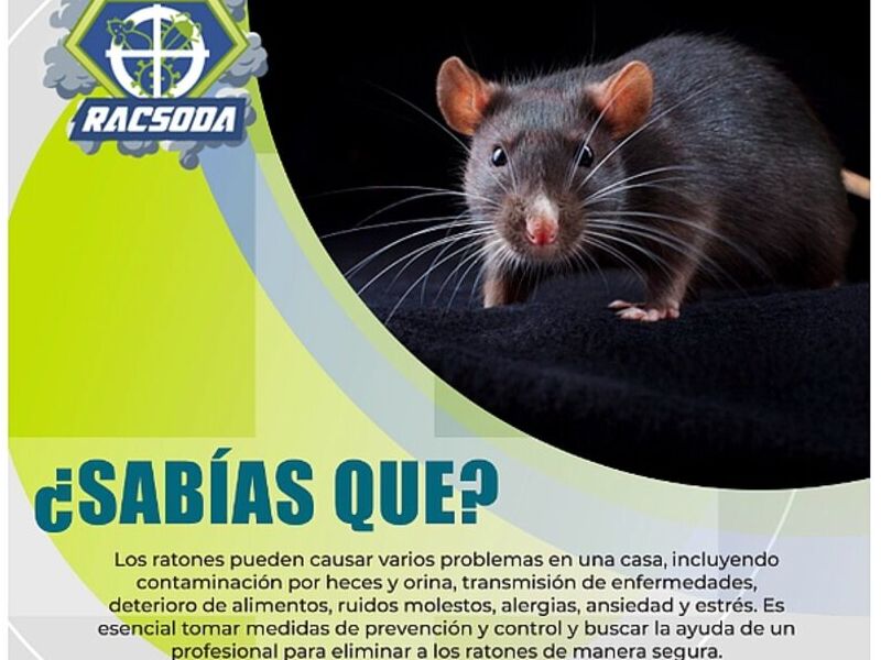 fumigadora rata Bolivia
