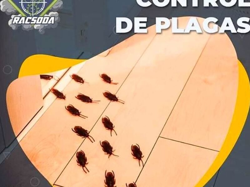 control plagas bolivia