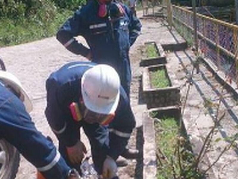 fumigadora empresas Bolivia