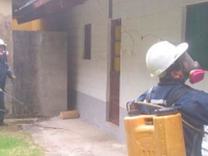 desinfección viviendas bolivia
