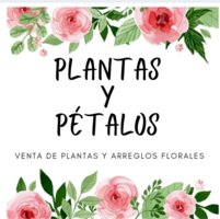 Plantas y Petalos
