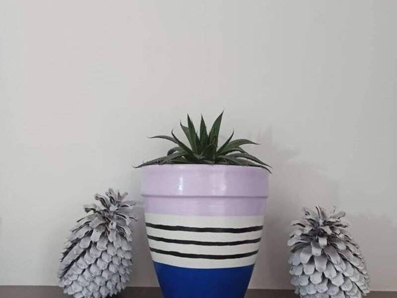 Maceta lila azul Bolivia 