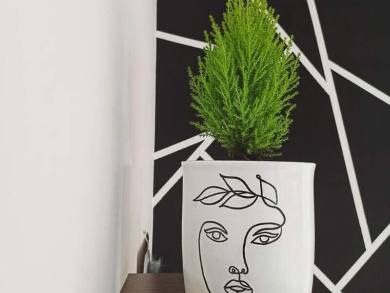 Maceta rostro mujer Bolivia 