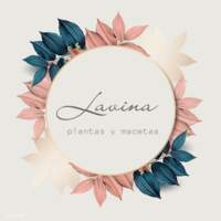 Lavina