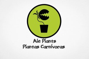 Ale Plants