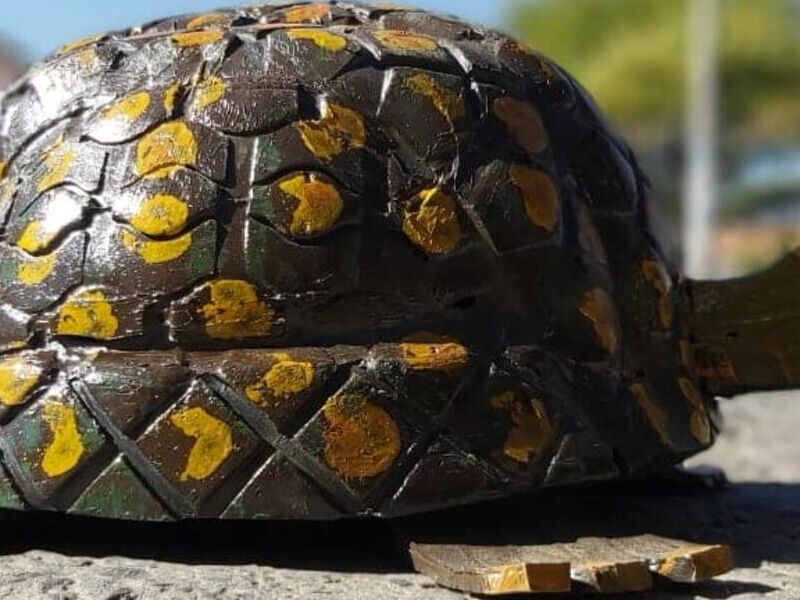 Tortuga llanta Bolivia