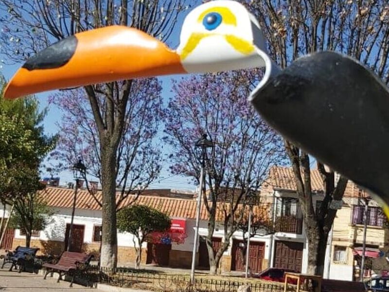 Tucán llanta Bolivia  