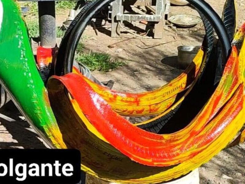 Maceta colgante parababa Bolivia 