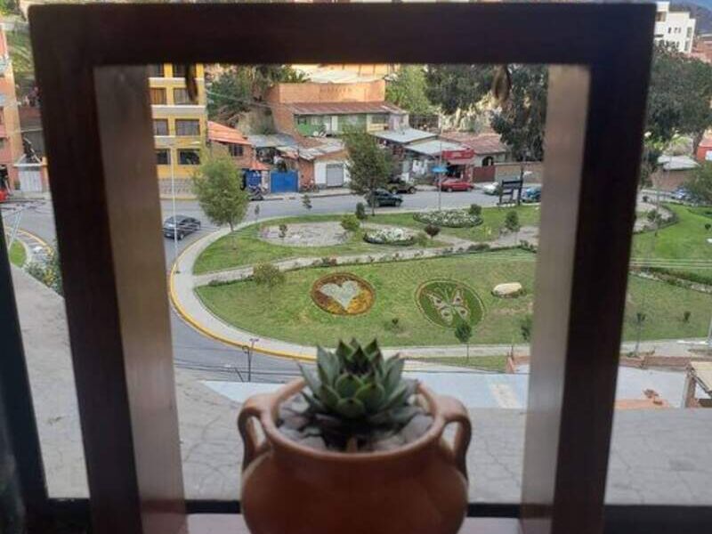 Suculenta jarrito Bolivia 