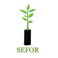 SEFOR