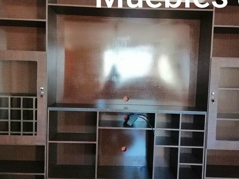 Modular personalizado television LA PAZ