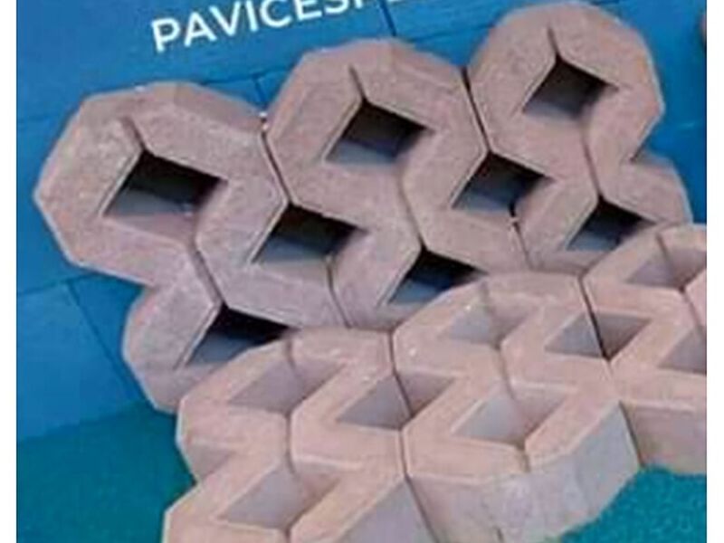 Pavicésped Bolivia